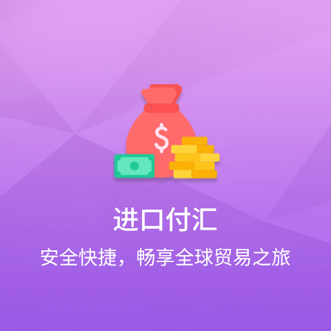 進(jìn)口付匯
