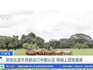 海關(guān)公告 | 進(jìn)口哥倫比亞冷凍牛肉檢驗檢疫要求