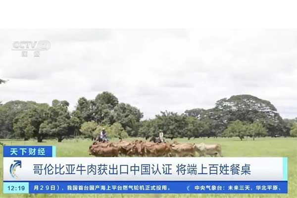 海關公告 | 進口哥倫比亞冷凍牛肉檢驗檢疫要求