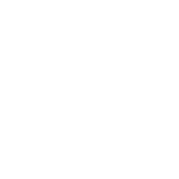 報(bào)關(guān)清關(guān)icon