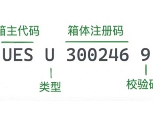 解析集装箱进出口规范及海关管理要求