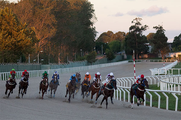 海關公告 | 進口烏拉圭運動馬檢驗檢疫要求