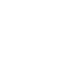 進(jìn)口代理icon