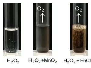 進(jìn)口催化劑的關(guān)鍵與規(guī)范申報(bào)要求