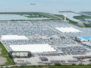 代理進口藥品需要什么手續(xù)(進口藥品的檢驗依據(jù)是)