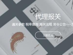 國(guó)際海運(yùn)拼箱/拼柜報(bào)關(guān)流程相關(guān)知識(shí)