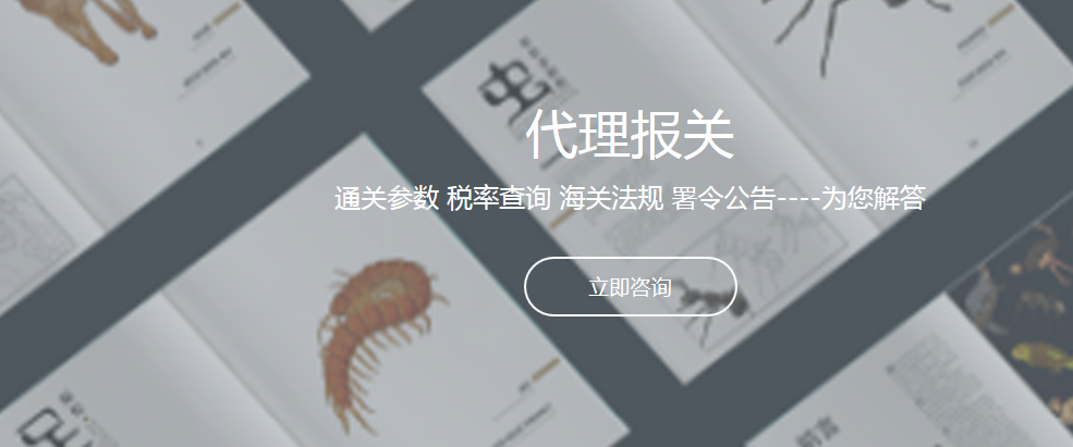 國際海運拼箱/拼柜報關(guān)流程相關(guān)知識