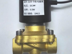 電磁閥進(jìn)口廣州南沙報(bào)關(guān)資料有哪些？