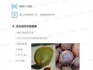 椰果進(jìn)口報(bào)關(guān)流程及注意事項(xiàng)