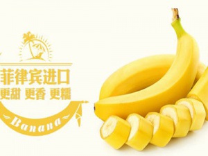 專業(yè)清關(guān)公司代理報關(guān)進口香蕉操作流程