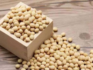 進口大豆怎么報關(guān)?