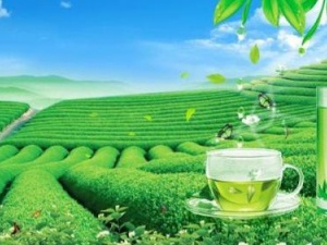 上海茶葉進口報關(guān)代理需要哪些單證資料？進口流程是怎樣的？