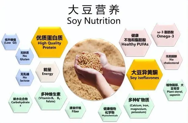素肉（大豆蛋白）出口資質(zhì)及流程