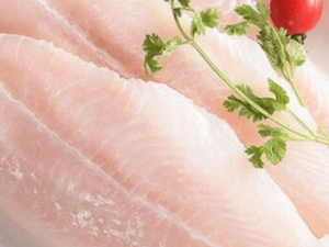 冷凍魚(yú)肉進(jìn)口報(bào)關(guān)清關(guān)流程有哪些？