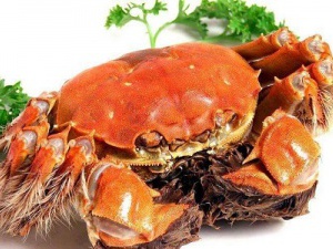 代理進(jìn)口水產(chǎn)品報(bào)關(guān)清關(guān)要多少錢?