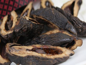 上海?進(jìn)口藥材檳榔干的關(guān)稅以及清關(guān)流程