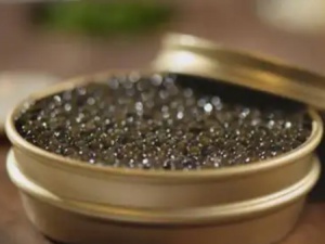 魚子醬佛山港進口清關(guān)食品標簽申請資料