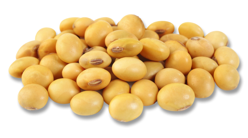 進(jìn)口大豆所需單證有哪些？