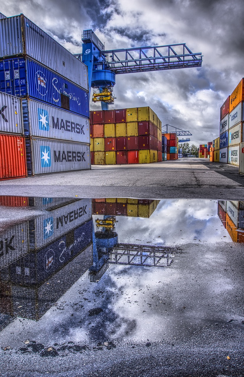 深圳果干進口代理費用大揭秘
