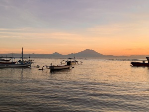 浦東進(jìn)口木托盤代理：國際貿(mào)易的關(guān)鍵一環(huán)？