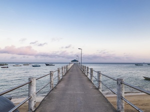 進口報關(guān)代理：高效服務(wù)流程開啟貿(mào)易坦途